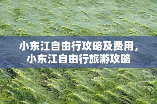 小东江自由行攻略及费用，小东江自由行旅游攻略