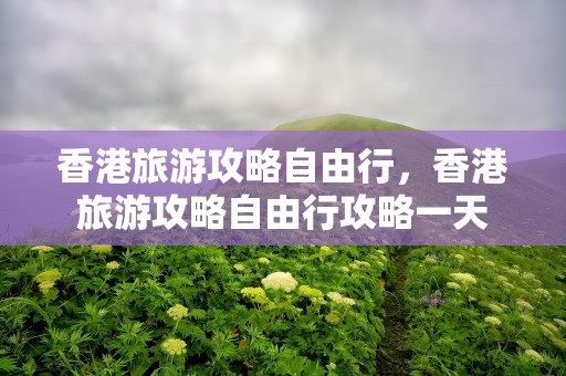 香港旅游攻略自由行，香港旅游攻略自由行攻略一天