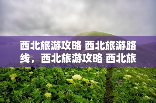 西北旅游攻略 西北旅游路线，西北旅游攻略 西北旅游路线费用