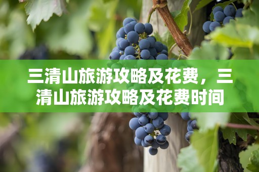三清山旅游攻略及花费，三清山旅游攻略及花费时间