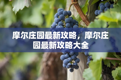 摩尔庄园最新攻略，摩尔庄园最新攻略大全