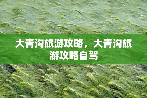 大青沟旅游攻略，大青沟旅游攻略自驾