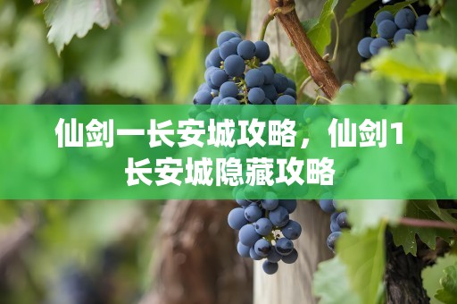 仙剑一长安城攻略，仙剑1长安城隐藏攻略