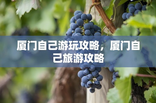 厦门自己游玩攻略，厦门自己旅游攻略