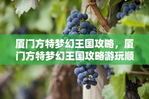 厦门方特梦幻王国攻略，厦门方特梦幻王国攻略游玩顺序