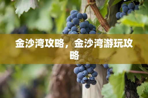 金沙湾攻略，金沙湾游玩攻略