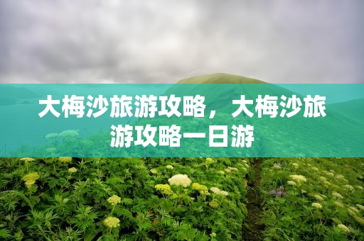大梅沙旅游攻略，大梅沙旅游攻略一日游
