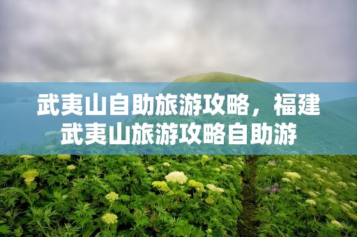武夷山自助旅游攻略，福建武夷山旅游攻略自助游