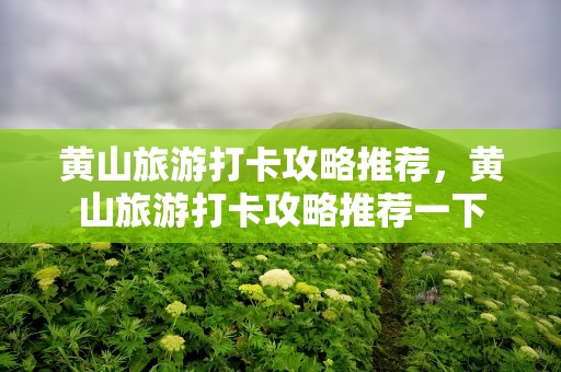 黄山旅游打卡攻略推荐，黄山旅游打卡攻略推荐一下