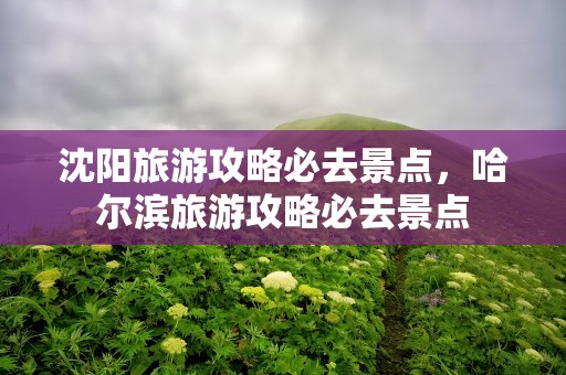 沈阳旅游攻略必去景点，哈尔滨旅游攻略必去景点
