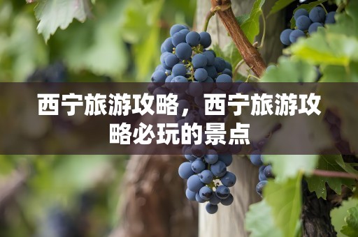 西宁旅游攻略，西宁旅游攻略必玩的景点
