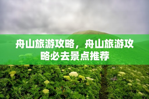 舟山旅游攻略，舟山旅游攻略必去景点推荐