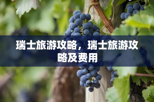 瑞士旅游攻略，瑞士旅游攻略及费用