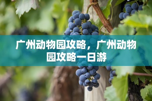 广州动物园攻略，广州动物园攻略一日游