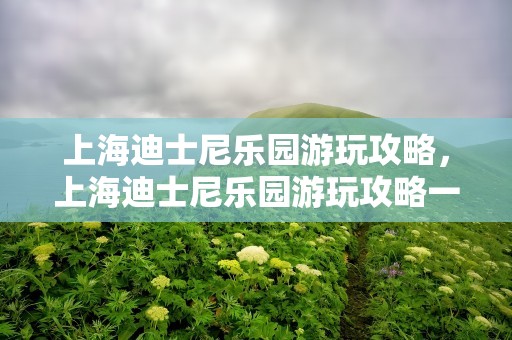 上海迪士尼乐园游玩攻略，上海迪士尼乐园游玩攻略一日游