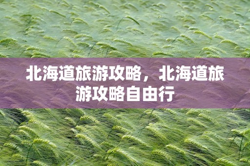 北海道旅游攻略，北海道旅游攻略自由行