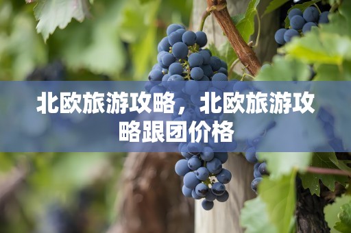 北欧旅游攻略，北欧旅游攻略跟团价格