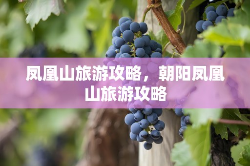 凤凰山旅游攻略，朝阳凤凰山旅游攻略