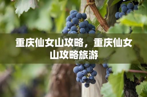重庆仙女山攻略，重庆仙女山攻略旅游