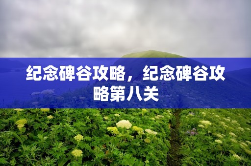纪念碑谷攻略，纪念碑谷攻略第八关