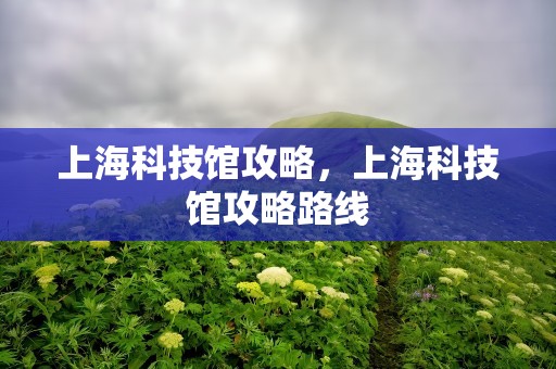 上海科技馆攻略，上海科技馆攻略路线
