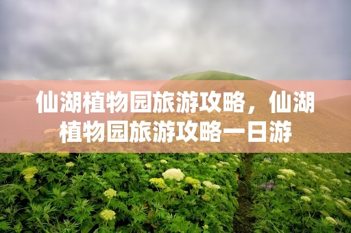 仙湖植物园旅游攻略，仙湖植物园旅游攻略一日游