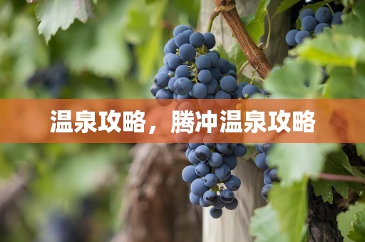 温泉攻略，腾冲温泉攻略