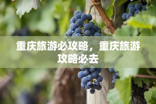 重庆旅游必攻略，重庆旅游攻略必去