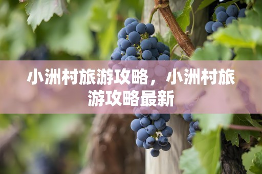 小洲村旅游攻略，小洲村旅游攻略最新