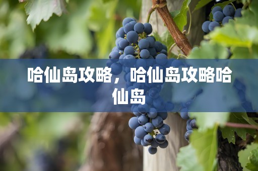 哈仙岛攻略，哈仙岛攻略哈仙岛
