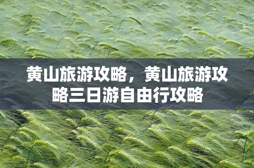 黄山旅游攻略，黄山旅游攻略三日游自由行攻略