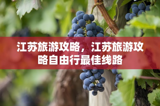 江苏旅游攻略，江苏旅游攻略自由行最佳线路