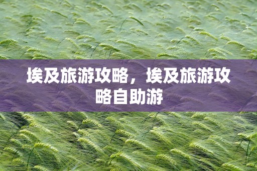 埃及旅游攻略，埃及旅游攻略自助游