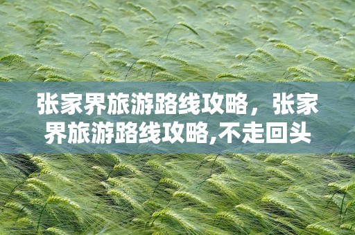 张家界旅游路线攻略，张家界旅游路线攻略,不走回头