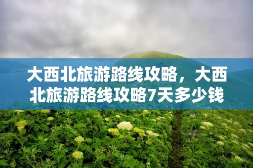 大西北旅游路线攻略，大西北旅游路线攻略7天多少钱