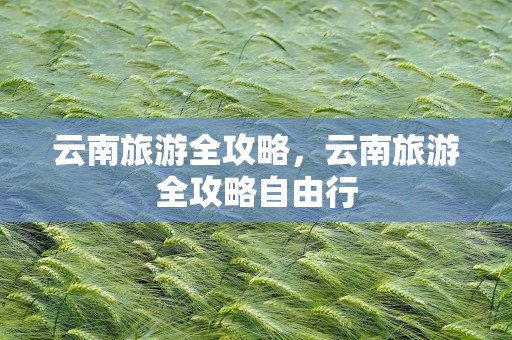 云南旅游全攻略，云南旅游全攻略自由行