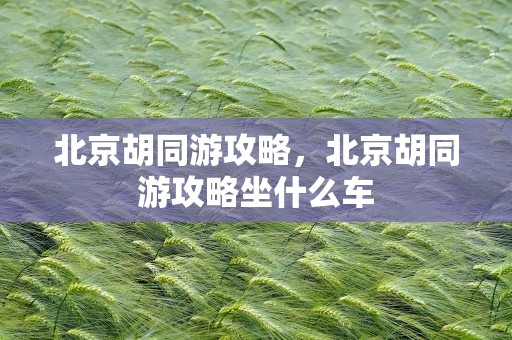 北京胡同游攻略，北京胡同游攻略坐什么车
