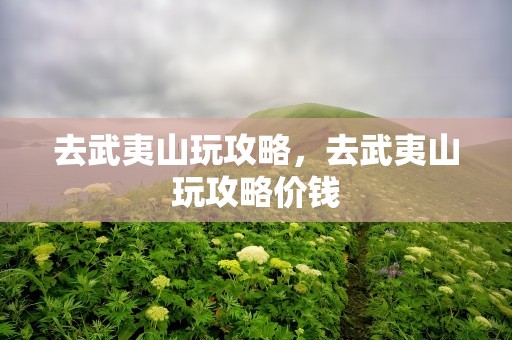 去武夷山玩攻略，去武夷山玩攻略价钱