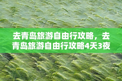 去青岛旅游自由行攻略，去青岛旅游自由行攻略4天3夜
