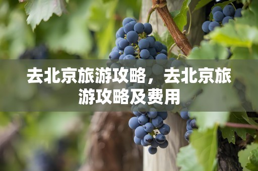 去北京旅游攻略，去北京旅游攻略及费用
