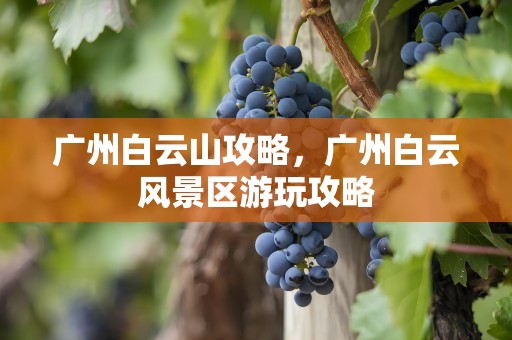 广州白云山攻略，广州白云风景区游玩攻略