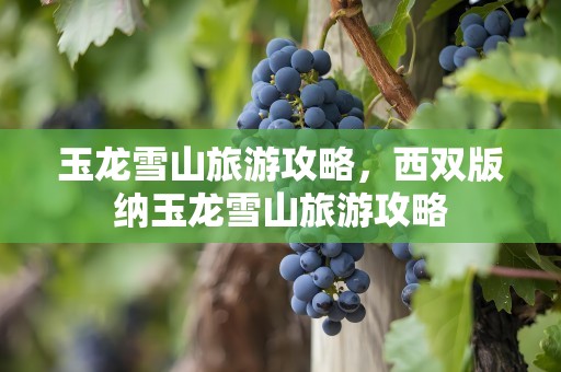 玉龙雪山旅游攻略，西双版纳玉龙雪山旅游攻略
