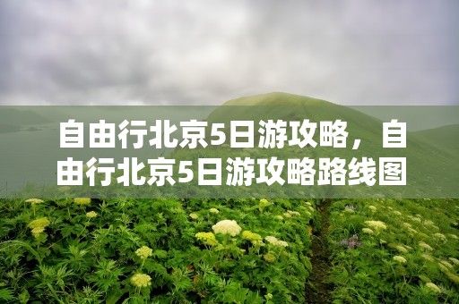 自由行北京5日游攻略，自由行北京5日游攻略路线图