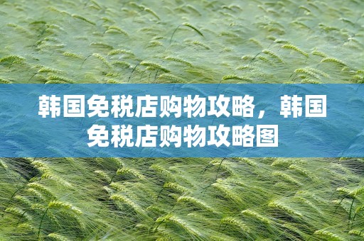 韩国免税店购物攻略，韩国免税店购物攻略图