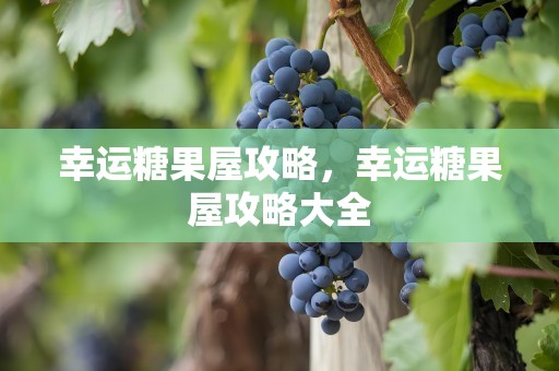 幸运糖果屋攻略，幸运糖果屋攻略大全