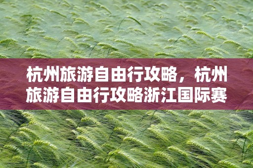 杭州旅游自由行攻略，杭州旅游自由行攻略浙江国际赛车场