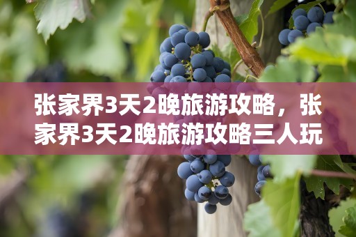 张家界3天2晚旅游攻略，张家界3天2晚旅游攻略三人玩