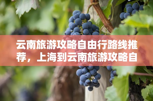 云南旅游攻略自由行路线推荐，上海到云南旅游攻略自由行路线推荐