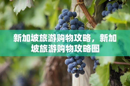 新加坡旅游购物攻略，新加坡旅游购物攻略图