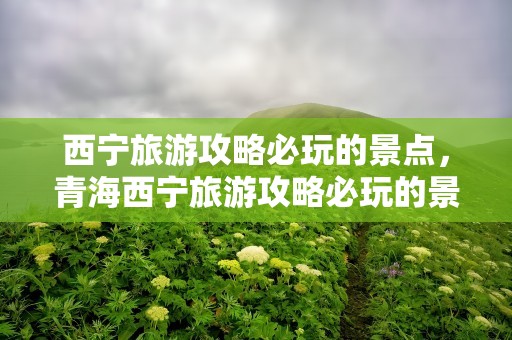 西宁旅游攻略必玩的景点，青海西宁旅游攻略必玩的景点